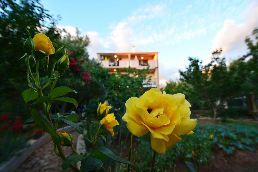 Apartments Silvana Sunset View ซาดาร์ ภายนอก รูปภาพ